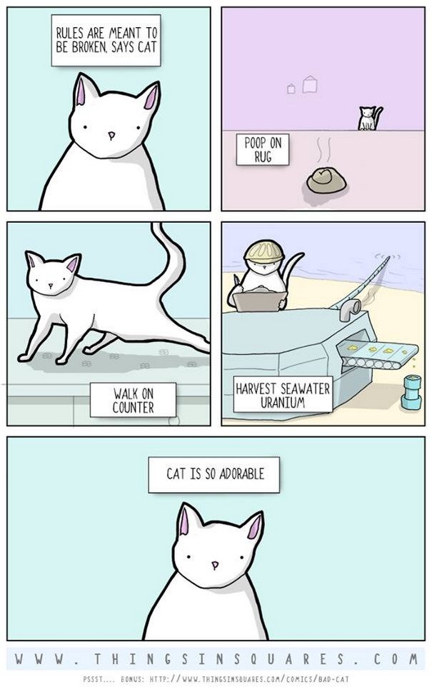 30 Hilarious Comics Sum Up The Dark Side Of Animals 30 Hilarious Comics Sum Up The Dark Side Of Animals