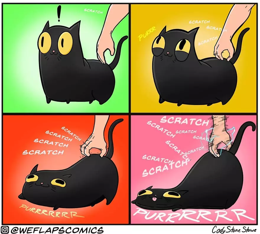 Funny Cat Drawing Comics : Guy Starts Drawing Comics Without Any