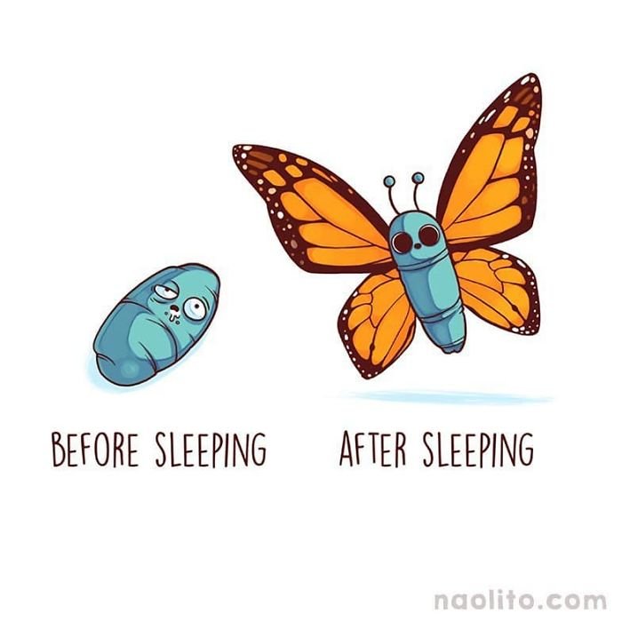 Before Sleep After Sleep Butterfly Illustration